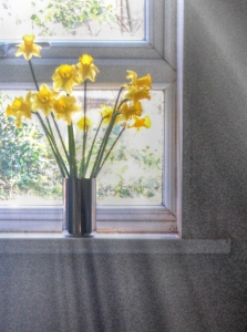 sunshine through window