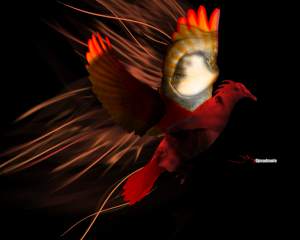 Evil Dove