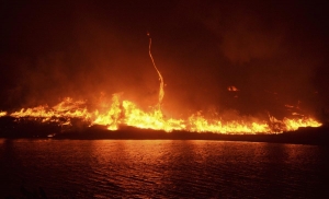 Lake Fire in California burns over 11,000 acres. Photo: REUTERS/Gene Blevins.