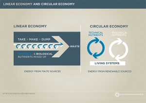 EMF_Linear and circular economy