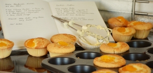 muffins