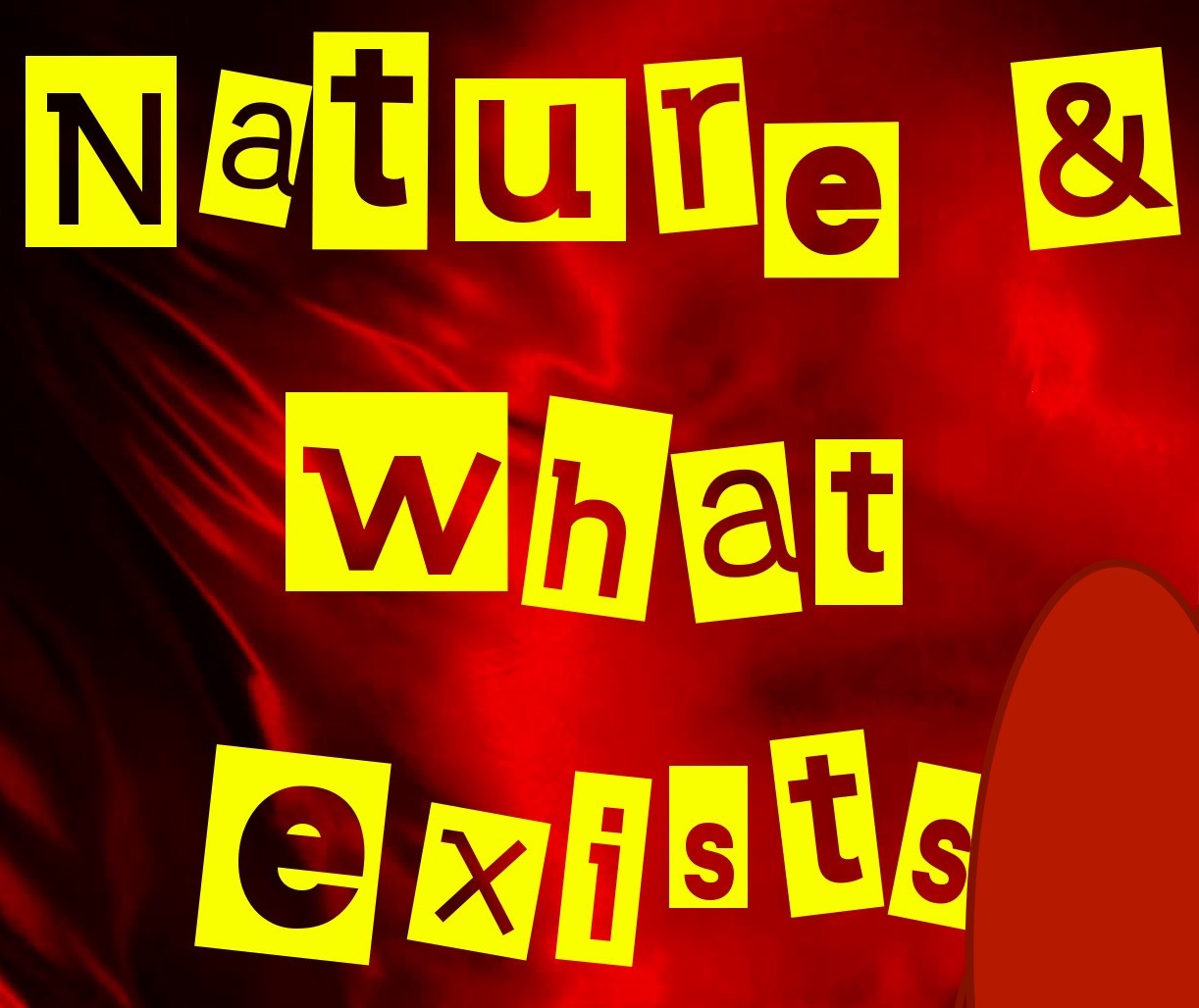 Why Naturalism Fails to Describe Reality