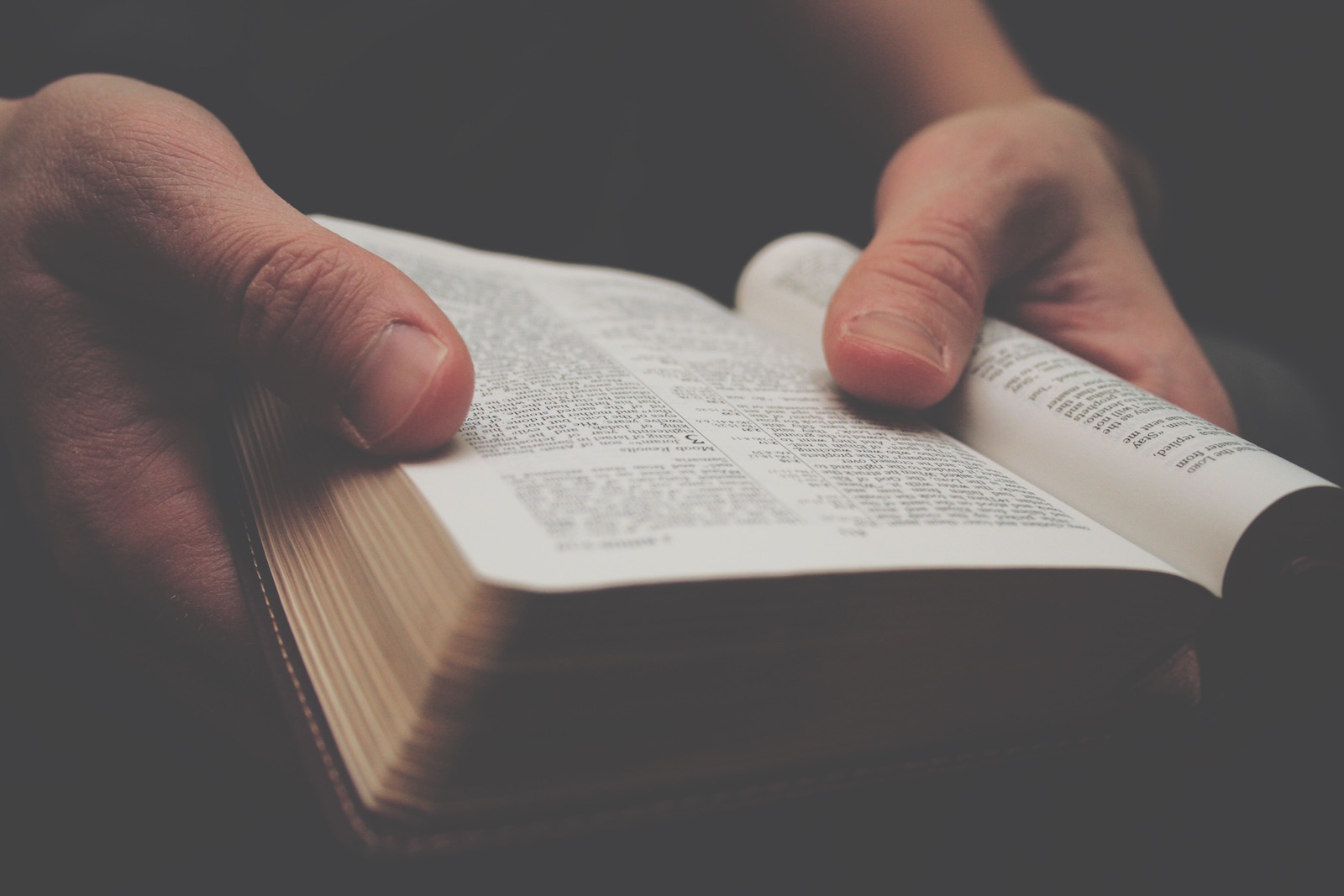 Alleged Bible Contradictions
